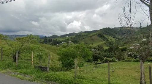 Terreno en venta en la Florida, Villamaría, Caldas.
